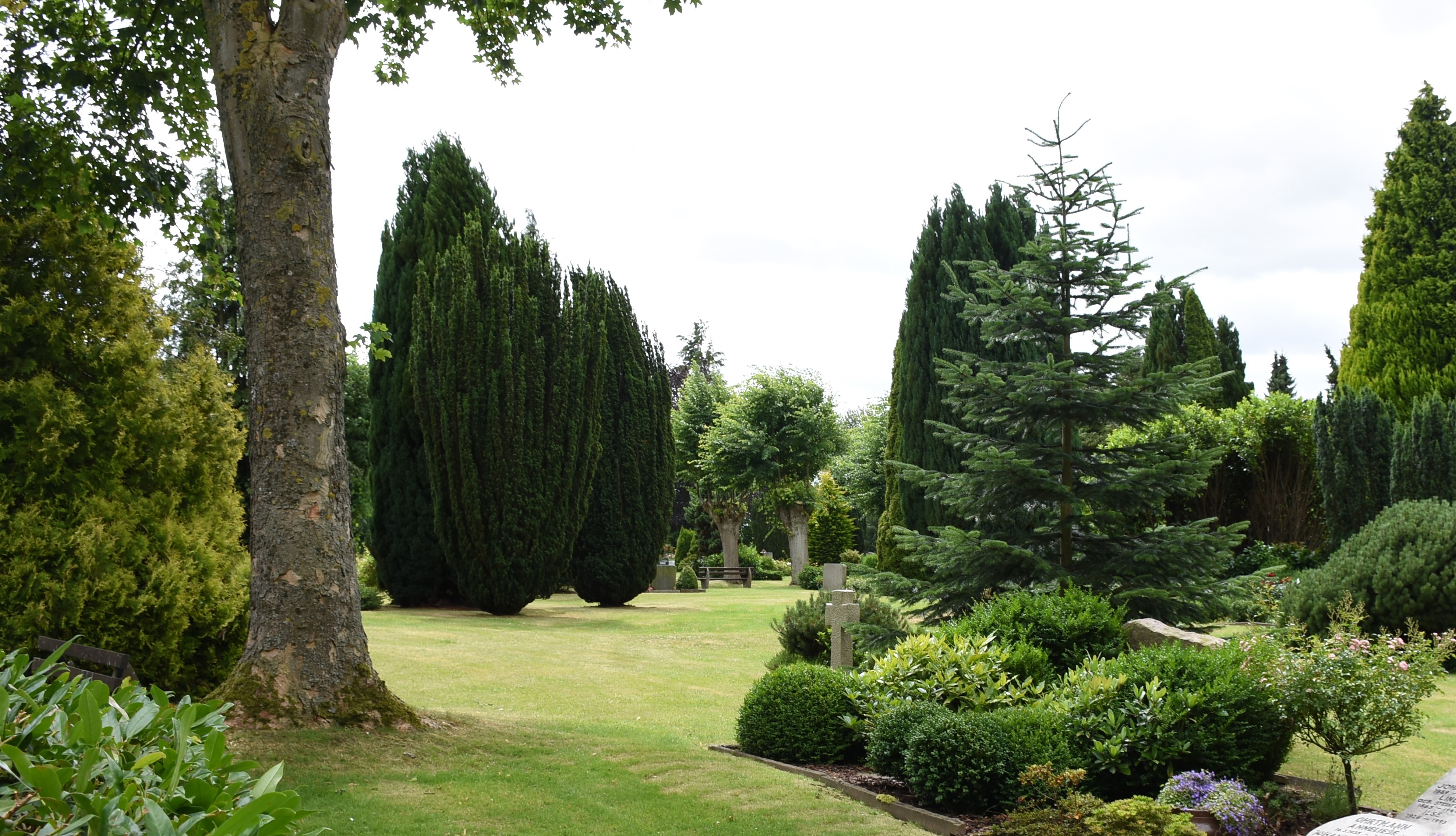 Friedhof Ascheberg