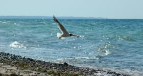 SOMMERKIRCHE: Gottesdienst der Förderegion am Strand von Bockholmwik mit Pastorin Sabrina Biehl