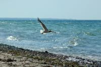 <a href="/veranstaltungen/detailansicht/event/sommerkirche-gottesdienst-der-foerderegion-am-strand-von-bockholmwik-mit-pastorin-sabrina-biehl.html" target="_self">SOMMERKIRCHE: Gottesdienst der Förderegion am Strand von Bockholmwik mit Pastorin Sabrina Biehl</a>