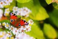 <a href="/veranstaltungen/detailansicht/event/gottesdienst-mit-abendmahl-1503.html" target="_self">Gottesdienst mit Abendmahl</a>