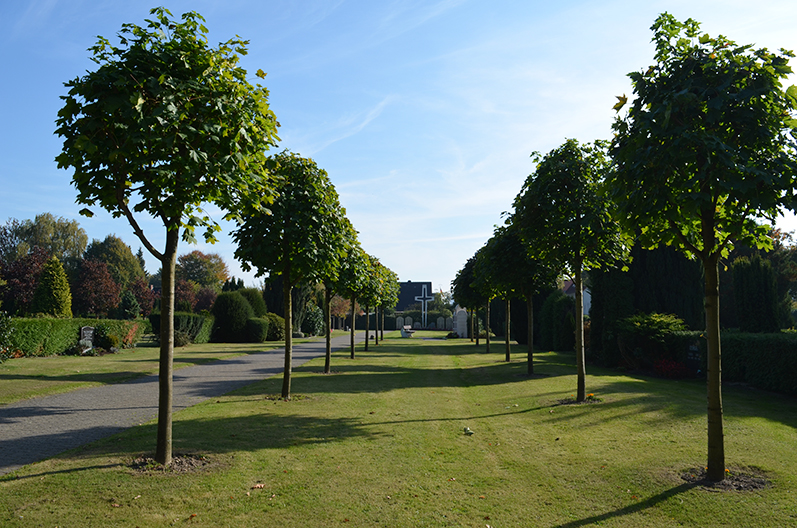 Friedhof Lägerdorf