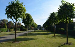 Friedhof Lägerdorf