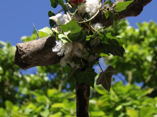 Andachten im Garten 2025