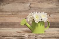 <a href="/veranstaltungen/detailansicht/event/gottesdienst-12895.html" target="_self">Gottesdienst</a>