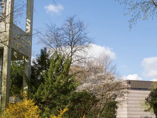 Gottesdienst mit Abendmahl