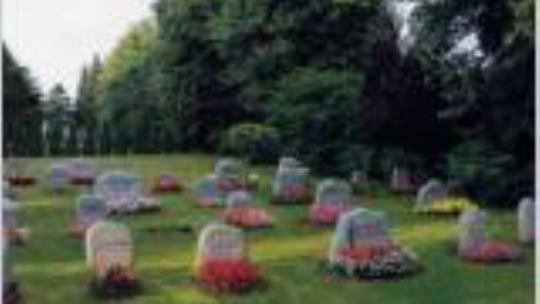 Michaelisfriedhof Schleswig