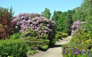 Friedhof Hohenfelde