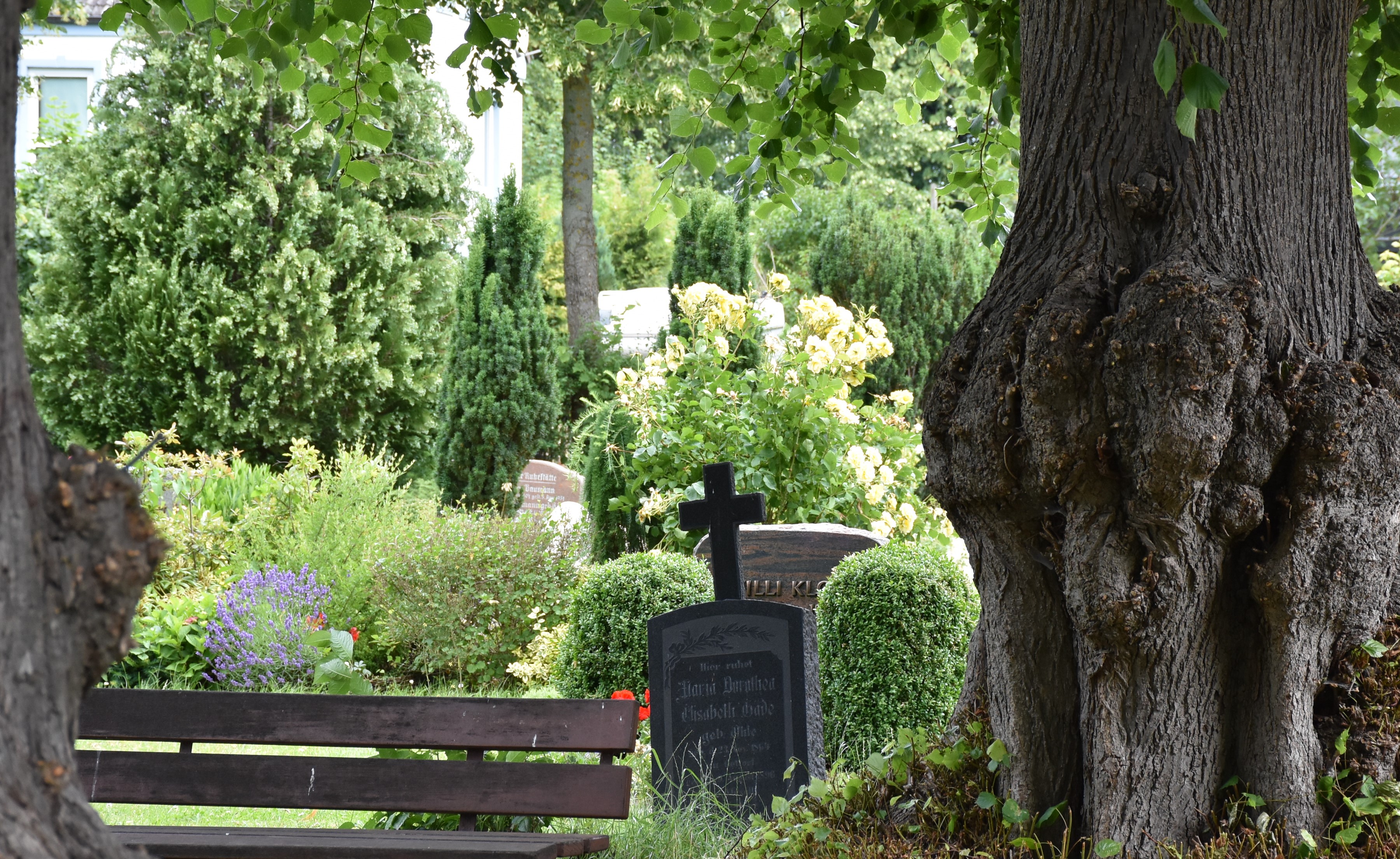 Friedhof Probsteierhagen