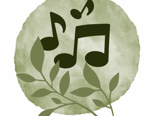 Sommerkonzert mit dem Sternchor