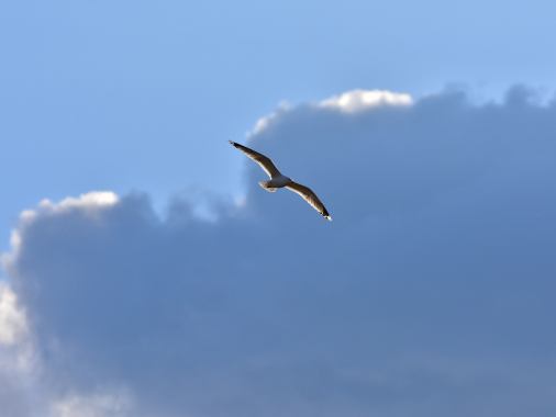3. Sonntag nach Trinitatis