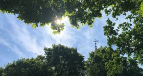 Sommergottesdienst