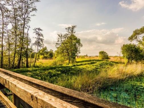 Sommerausflug in die Holsteinische Schweiz
