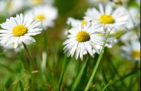 <a href="/veranstaltungen/detailansicht/event/regional-gottesdienst-im-lichthof-huerup-1.html" target="_self">Regional-Gottesdienst im Lichthof Hürup</a>