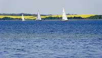 <a href="/institutionen/institution/freizeitheime-und-haeuser-des-kirchenkreises-schleswig-flensburg.html" target="_self">Freizeitheime und -häuser des Kirchenkreises Schleswig-Flensburg</a>