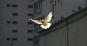 Ökumenischer Pfingst-Gottesdienst mit der Arbeitsgemeinschaft christlicher Kirchen, mit Pastores Meißner, Akkermann-Dorn, Marx, Scharf, Meyer und Henke