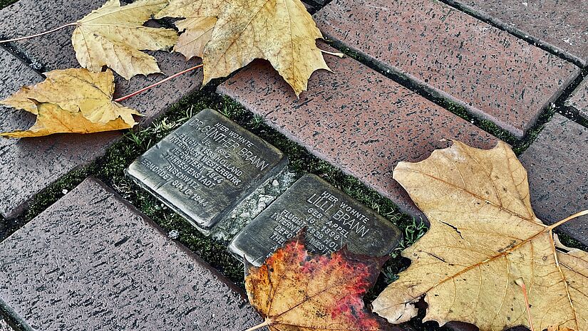 Stolpersteine in der Museumsstraße in Hamburg