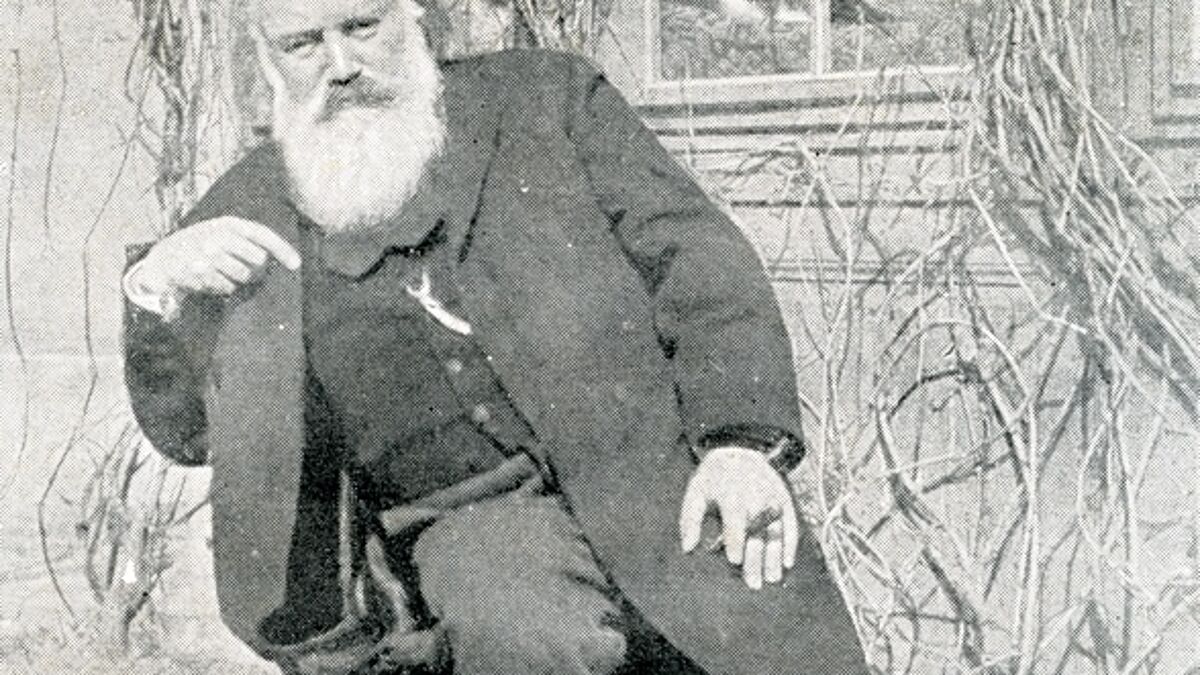 Porträt von Johannes Brahms