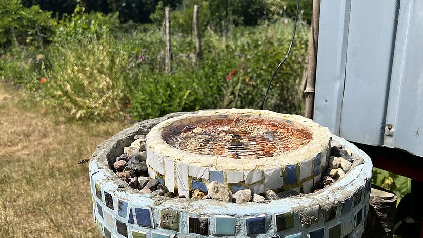 Der Brunnen ist an trockenen Tagen eine wichtige Wasserquelle für Bienen und andere Insekten.