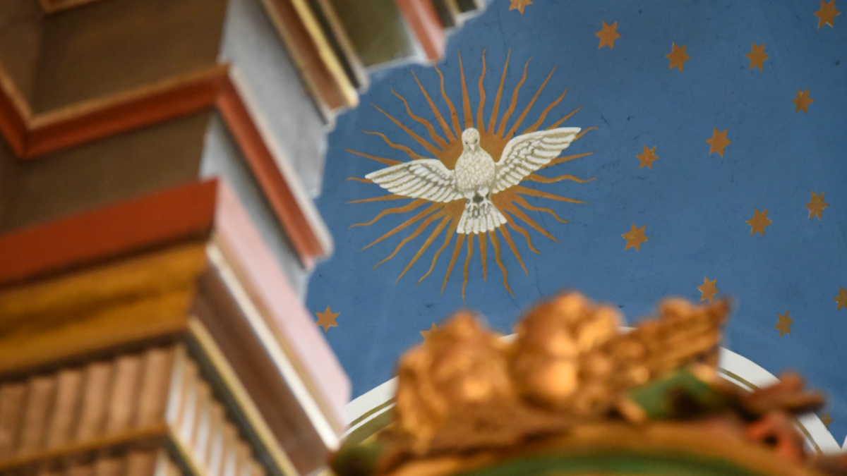 Ev. Kirche Nusse, Blick ins Gewölbe der Aspis, © Kirchengemeinde Nusse-Behlendorf, Jutta Petri