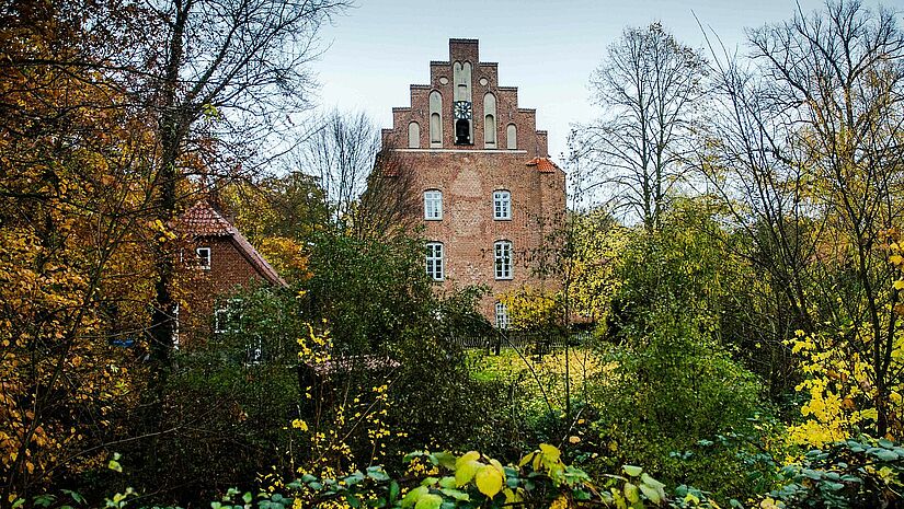 Ansicht der Klosterkirche Cismar bei ganz passablem Winterwetter. Die Bäume sind kahl, aber Gras und Gebüsch sind grün.