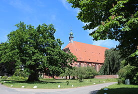 Die Kirche auf dem Klostergelände Preetz mit einer 1000jährigen Eiche