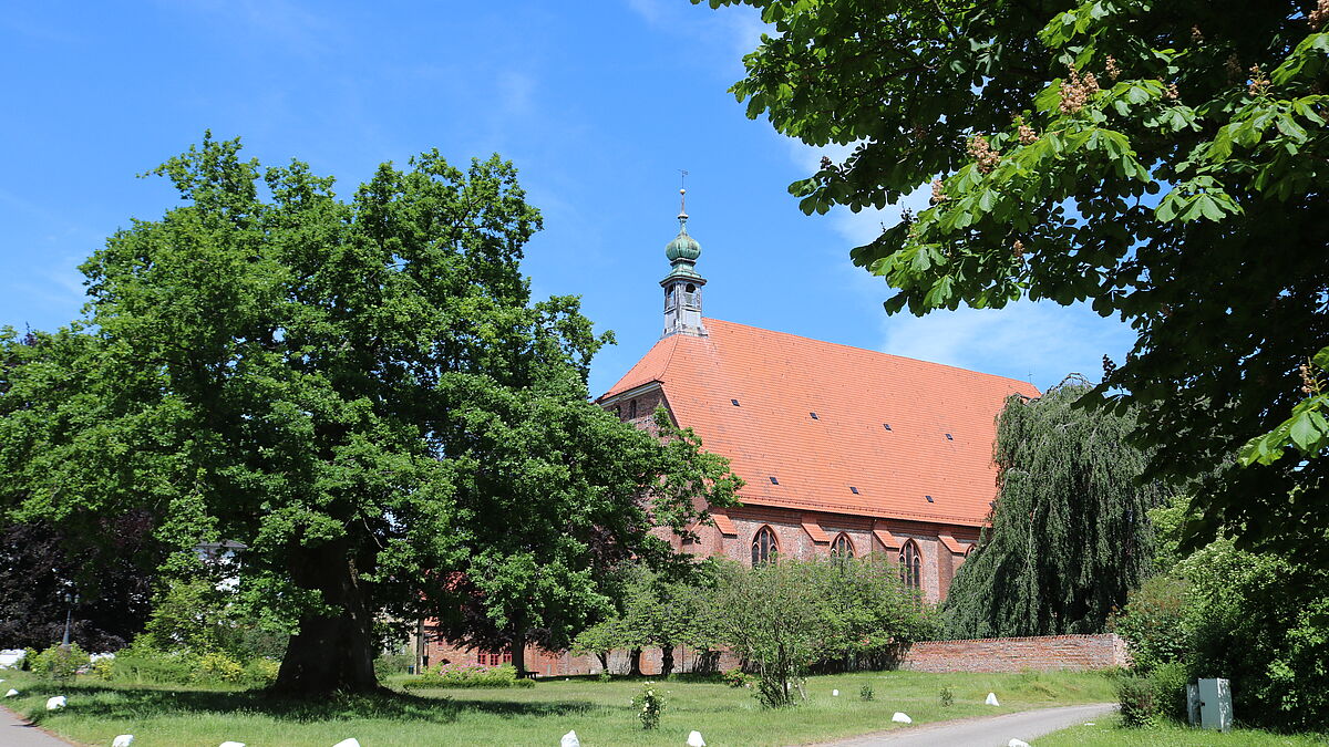 Die Kirche auf dem Klostergelände Preetz mit einer 1000jährigen Eiche