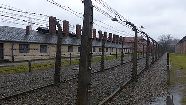 Stacheldraht in der Gedenkstätte Auschwitz