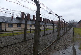 Stacheldraht in der Gedenkstätte Auschwitz