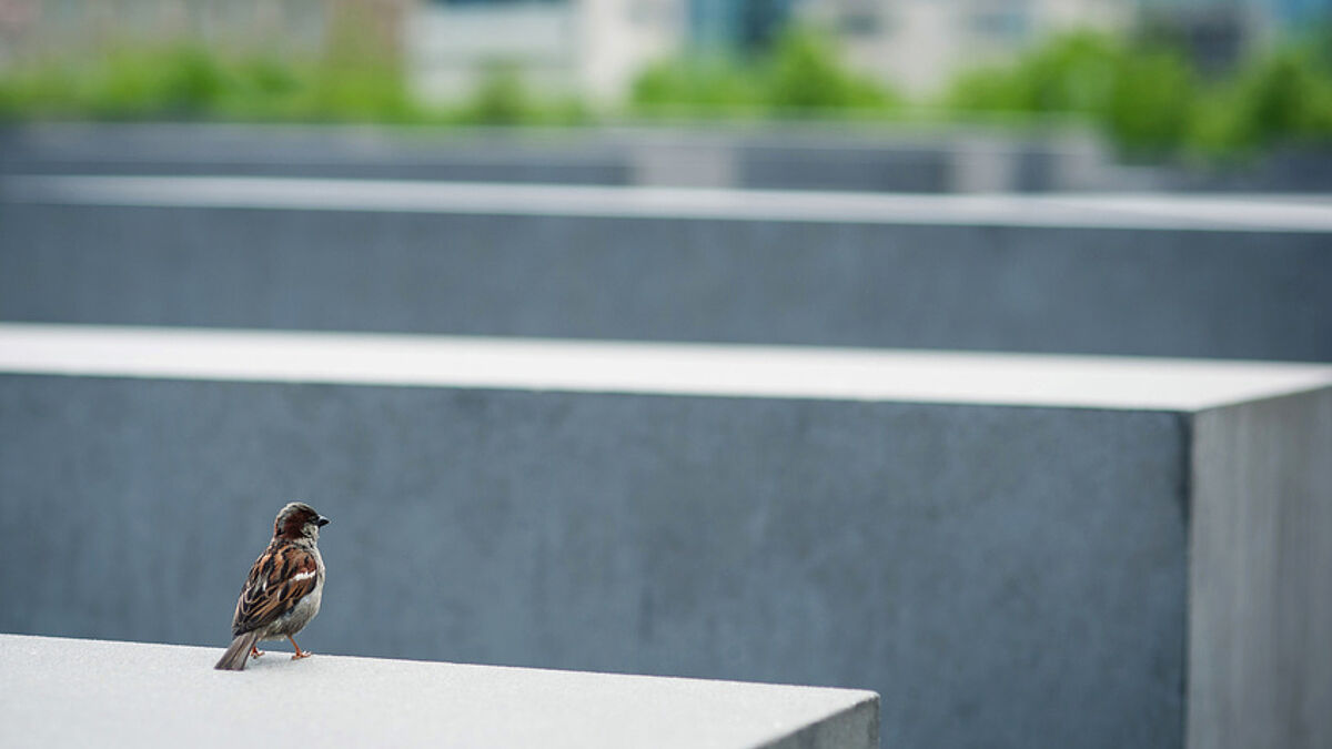 Das Holocaust-Mahnmal in Berlin
