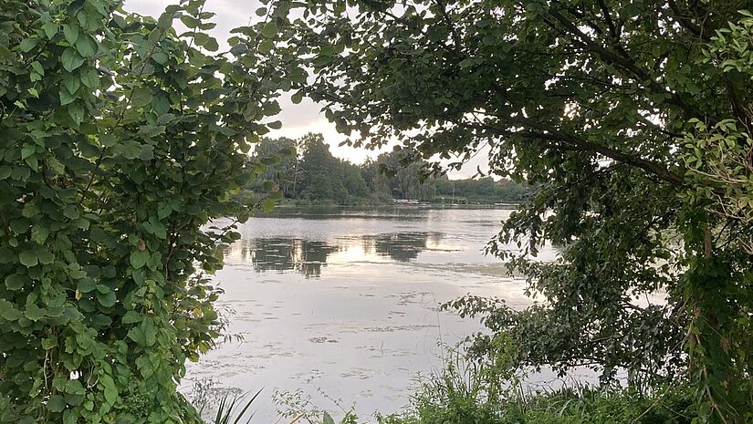 Der Abend naht und taucht die Pilgerstrecke in ein besonders schönes Licht. 