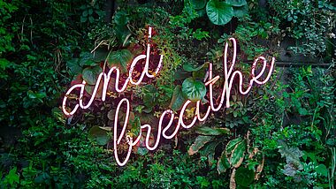 Eine grüne Pflanzenwand mit dem Neon Schriftzug: and breathe