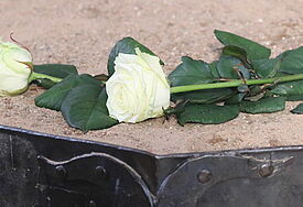 Weiße Rosen für die Opfer der Nationalsozialisten 