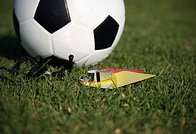Fußball-Turnier, Symbolbild © Heidi van der Westhuizen, iSockphoto