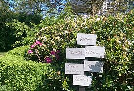 Das Projekt "Hoffnungsgrund" in Sandesneben im Kirchenkreis Lübeck-Lauenburg: Haus und Garten stehen als Begegnungs- und Schutzraum offen: Sei es für Kirchenasyl-Anfragen, bei der Wohnungs- und Ausbildungssuche. Im Internationalen Frauentreff gibt es Austausch zu beruflicher Weiterbildung, zu Partnerschafts- und Erziehungsfragen und es wird gemeinsam Gemüse angebaut. 