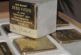 Stolpersteine für Greifswald.