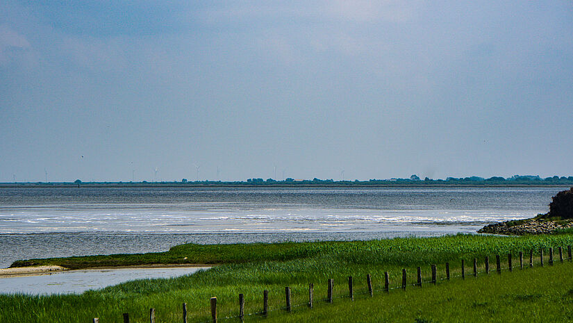 Blick vom Beltringharder Koog rüber nach Nordstrand.