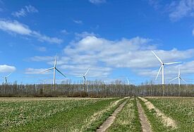 Mehrere Windkrafträder drehen sich vor einem blauen Himmel. 