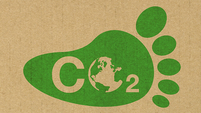 CO2 Fuss i Stock Small Quer