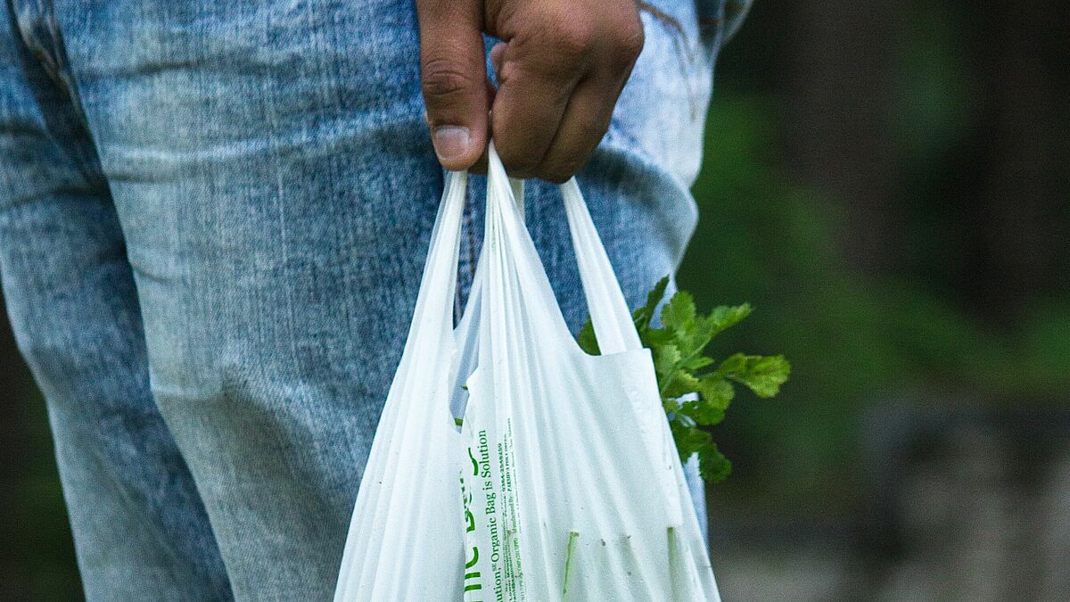 Die Rendsburger Tafel-Ausgabestellen konnten dank Spenden ihren Kunden eine kleine Osteraufmerksamkeit schenken. In den Tüten sind diesmal nicht nur frische, sondern auch haltbare Lebensmittel und ein Osterhase. 