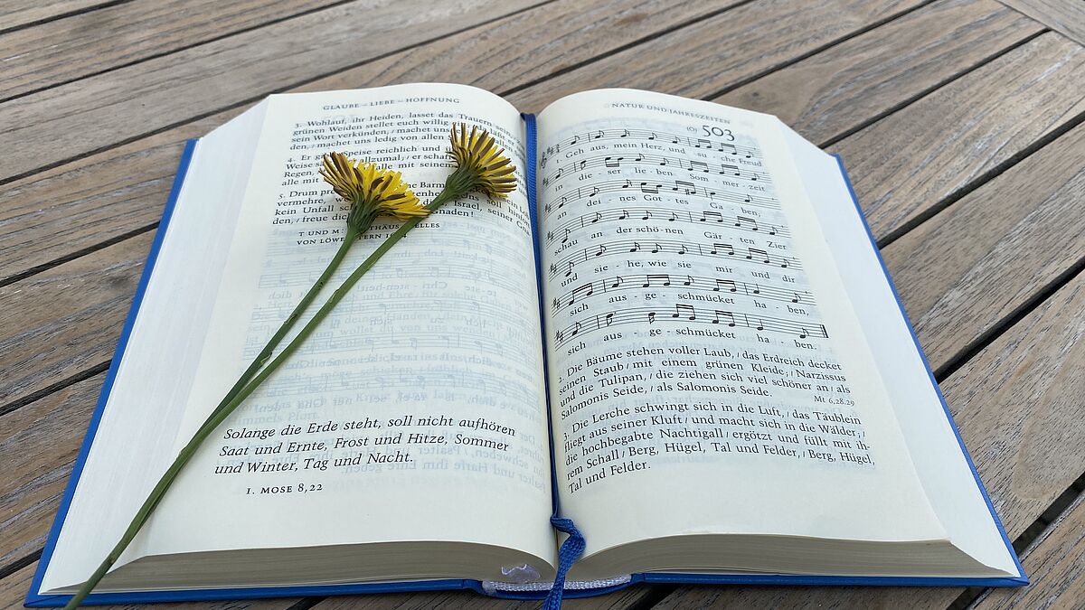 Geh aus mein Herz Lied Gesangbuch auf Holztisch mit Blume Paul Gerhardt dichtete insgesamt 140 deutsche und einige lateinische Lieder. Das wohl bekannteste ist "Geh aus, mein Herz, und suche Freud".