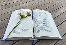 Geh aus mein Herz Lied Gesangbuch auf Holztisch mit Blume