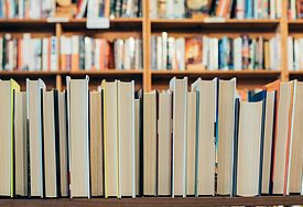 Bücherregal 