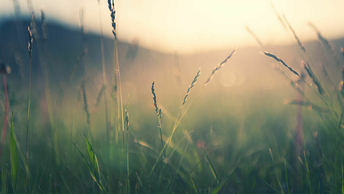 Bei den Eutiner Treffen lernen die Teilnehmenden zur Ruhe zu kommen. Dabei helfen Gebete, Meditation und Bibelbetrachtungen. 