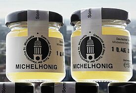 Michel-Honig 2021 