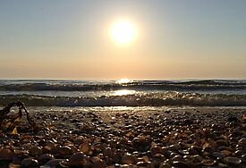 Die Sonne geht unter über der Ostsee, im Vordergrund sind Muscheln zu sehen