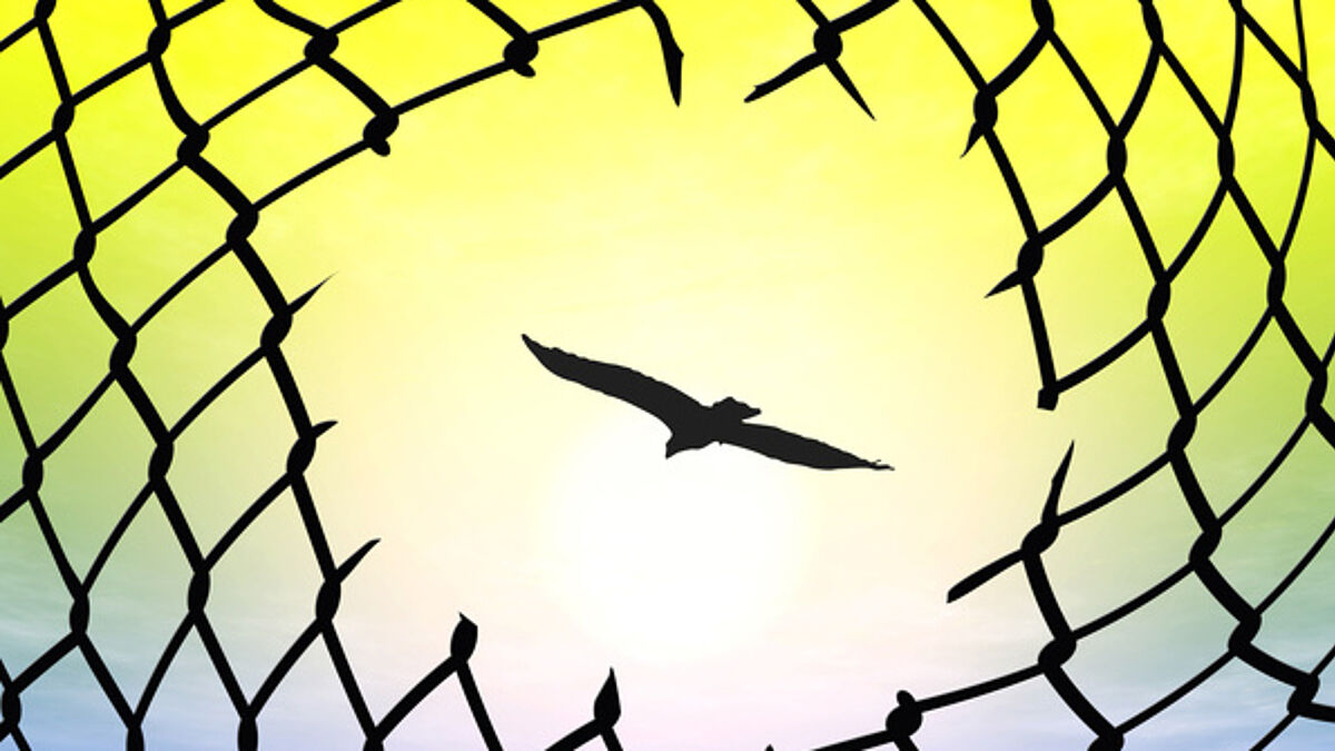 In Kiel wird über Flüchtlinge diskutiert