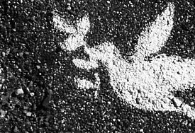 Friedenstaube auf Asphalt gemalt 