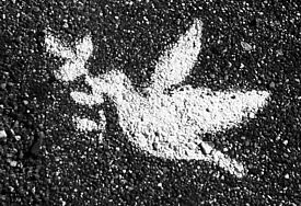 Friedenstaube auf Asphalt gemalt 