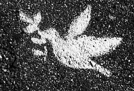Friedenstaube auf Asphalt gemalt 