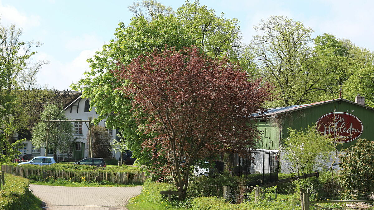 Blick auf die Hofanlage der Hofgemeinschaft Löstrup in Angeln